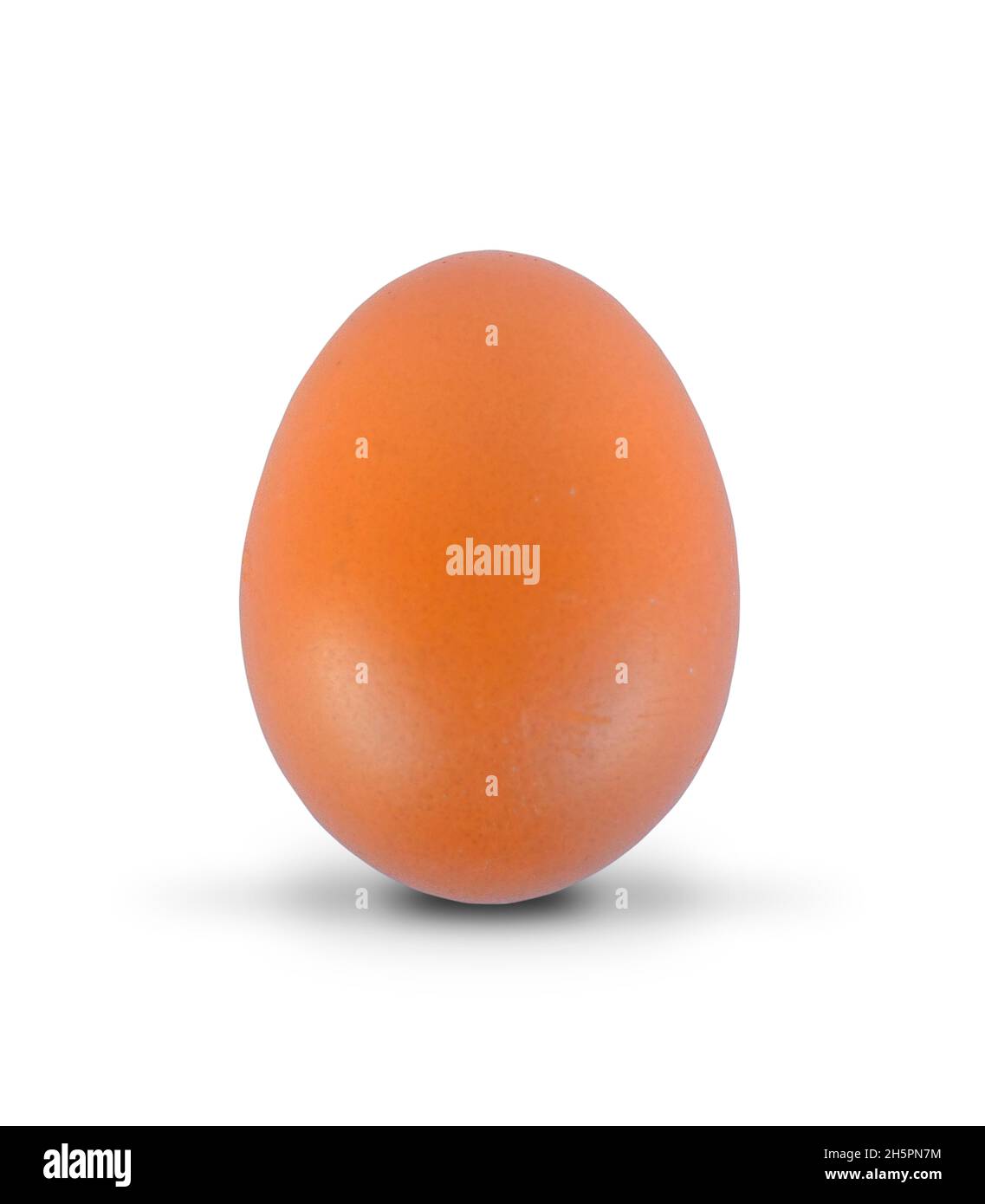 Seul brown egg isolé sur fond blanc Banque D'Images