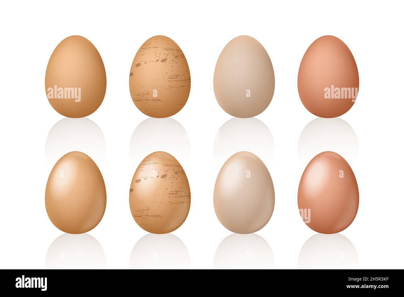 Ensemble d'œufs Illustration réaliste de style vectoriel, collection d'œufs réalisme maquette isolée sur fond blanc Illustration de Vecteur