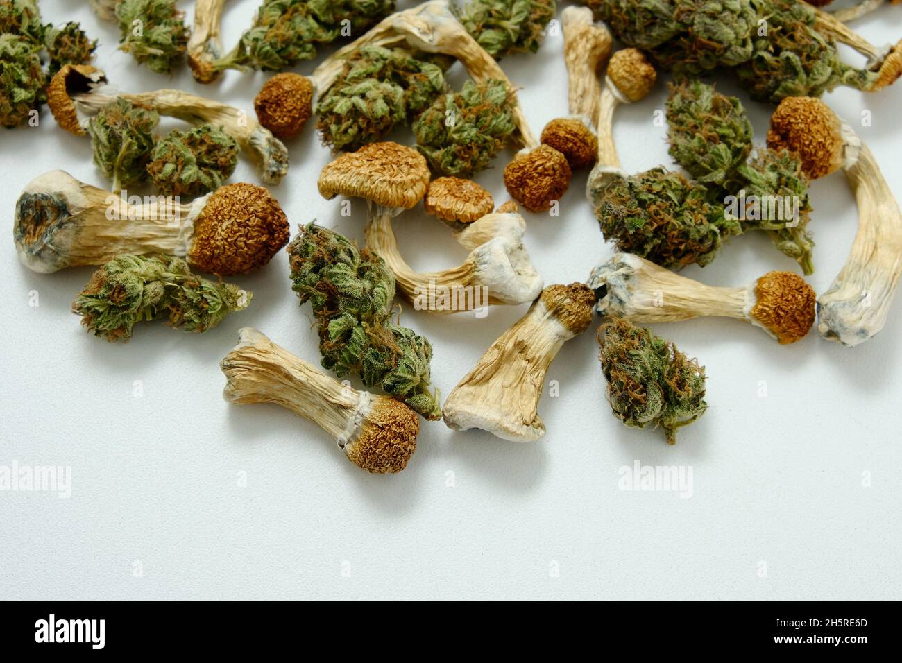 Fond psychotrope.Motif de champignons psilocybine séchés et de bourgeons de cannabis sur fond blanc.Voyage psychédélique, loisirs dans le quartier des affaires.Micro-dosage c Banque D'Images