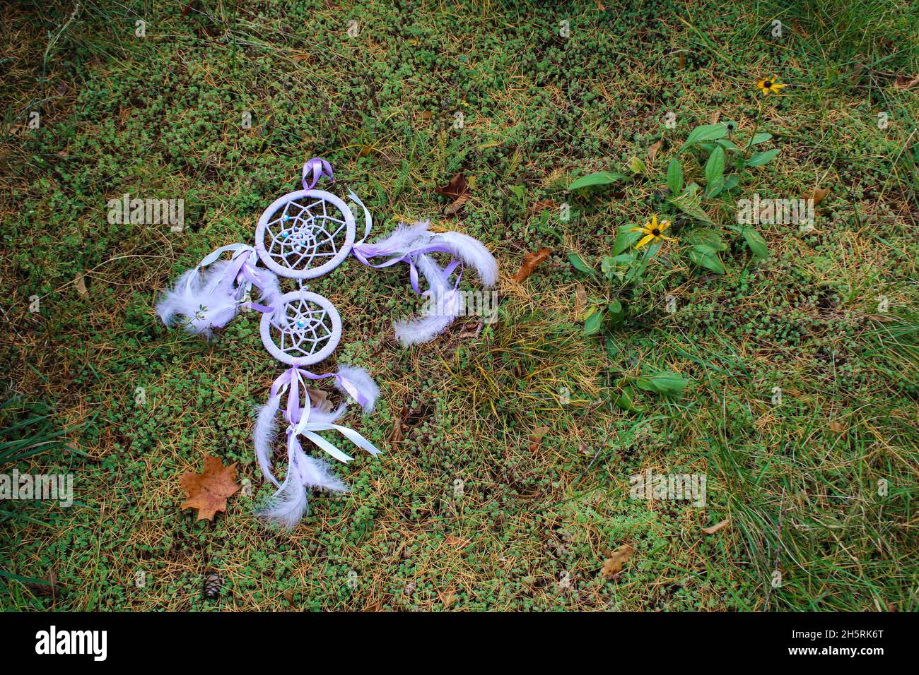Lilas dreamcatcher artisanat avec des plumes et des perles dans un pré dans la forêt parmi les mousses et les fleurs Banque D'Images