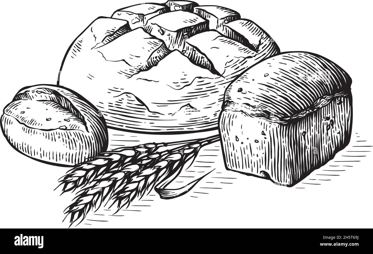 Illustration de l'ensemble à dessin manuel du vecteur de pain.Autres types de blé, farine de pain frais.Collection gravée de boulangerie alimentaire au gluten Illustration de Vecteur