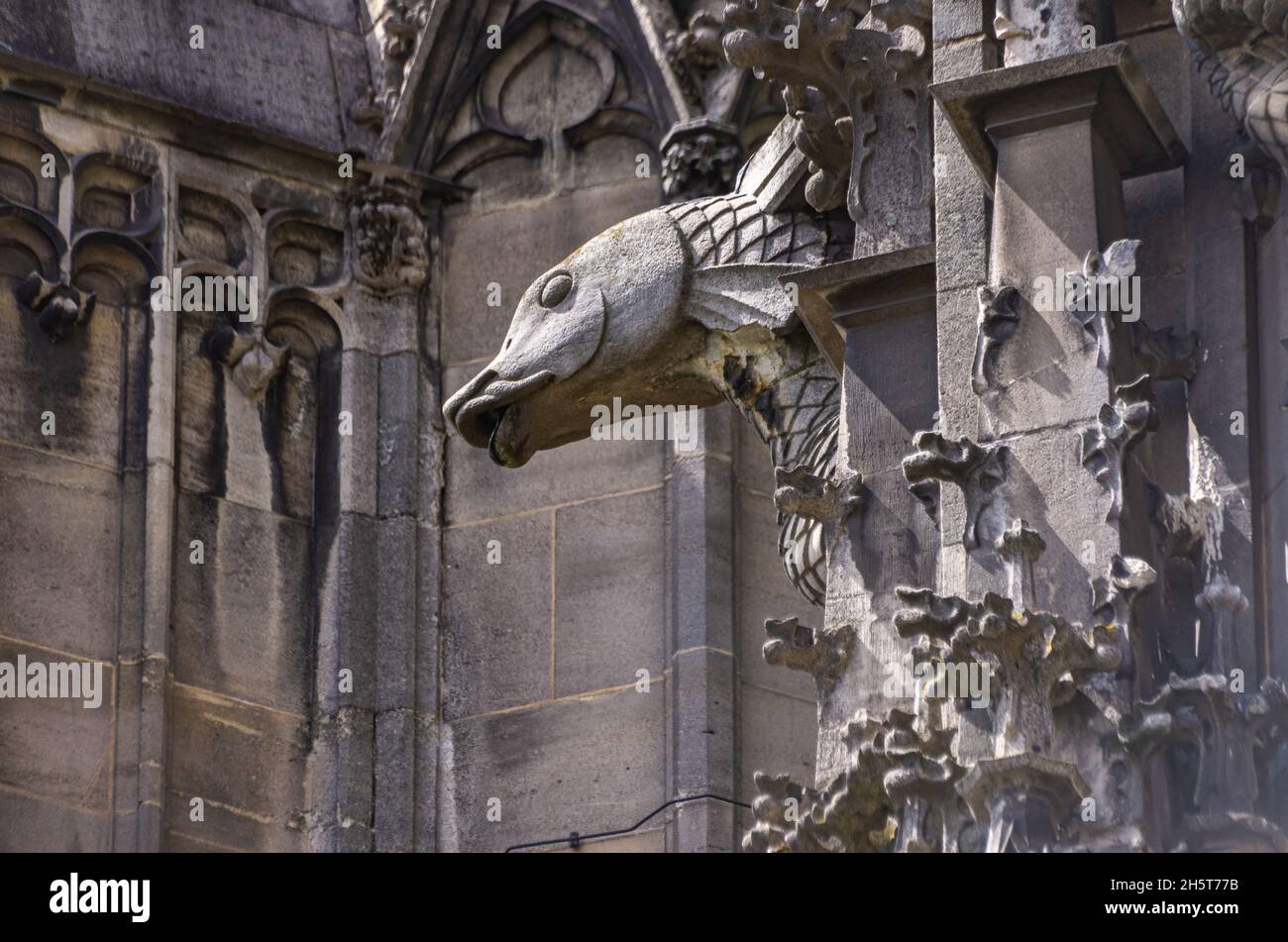 Ulm, Bade-Wurtemberg, Allemagne: Bec verseur, exécuté comme tête de poisson en pierre, sur le côté sud du Minster. Banque D'Images
