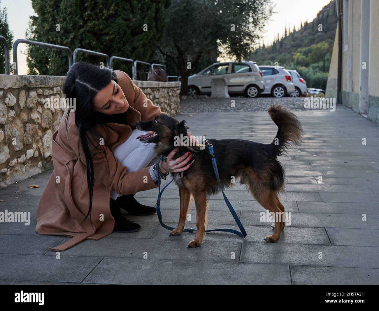 Brunette femme jouer avec un petit chien Banque D'Images