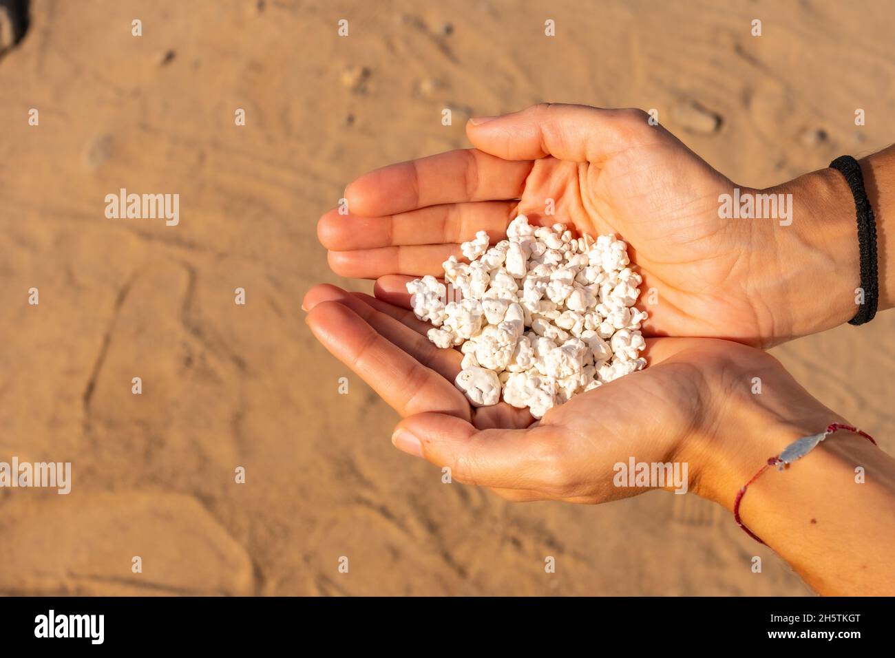 Le corail s'égratigne en formes de popcornes dans les palmiers d'une femelle de la plage de Popcorn, en Espagne Banque D'Images