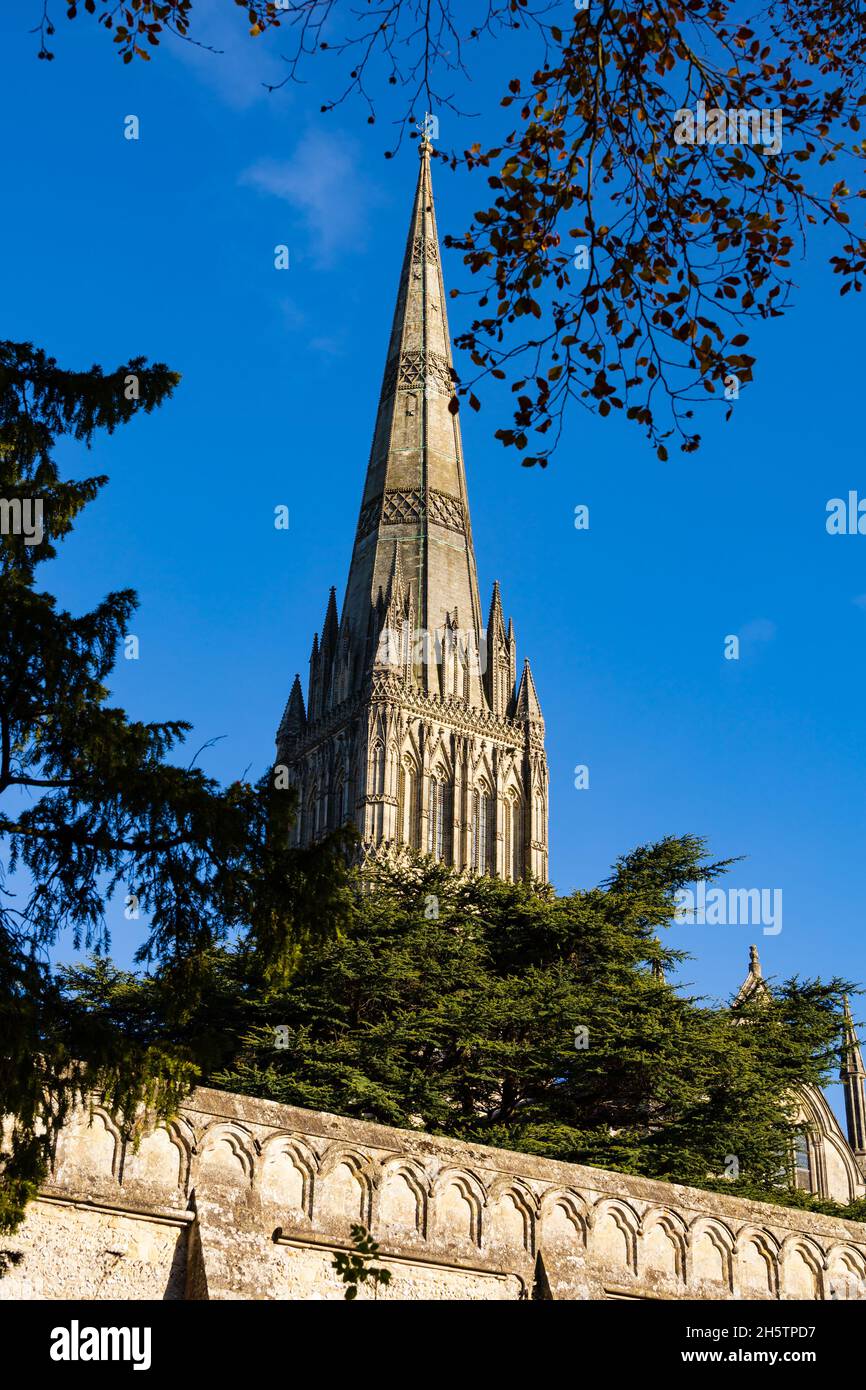 Cathédrale Sainte-Marie, Salisbury, Wiltshire, Angleterre Banque D'Images