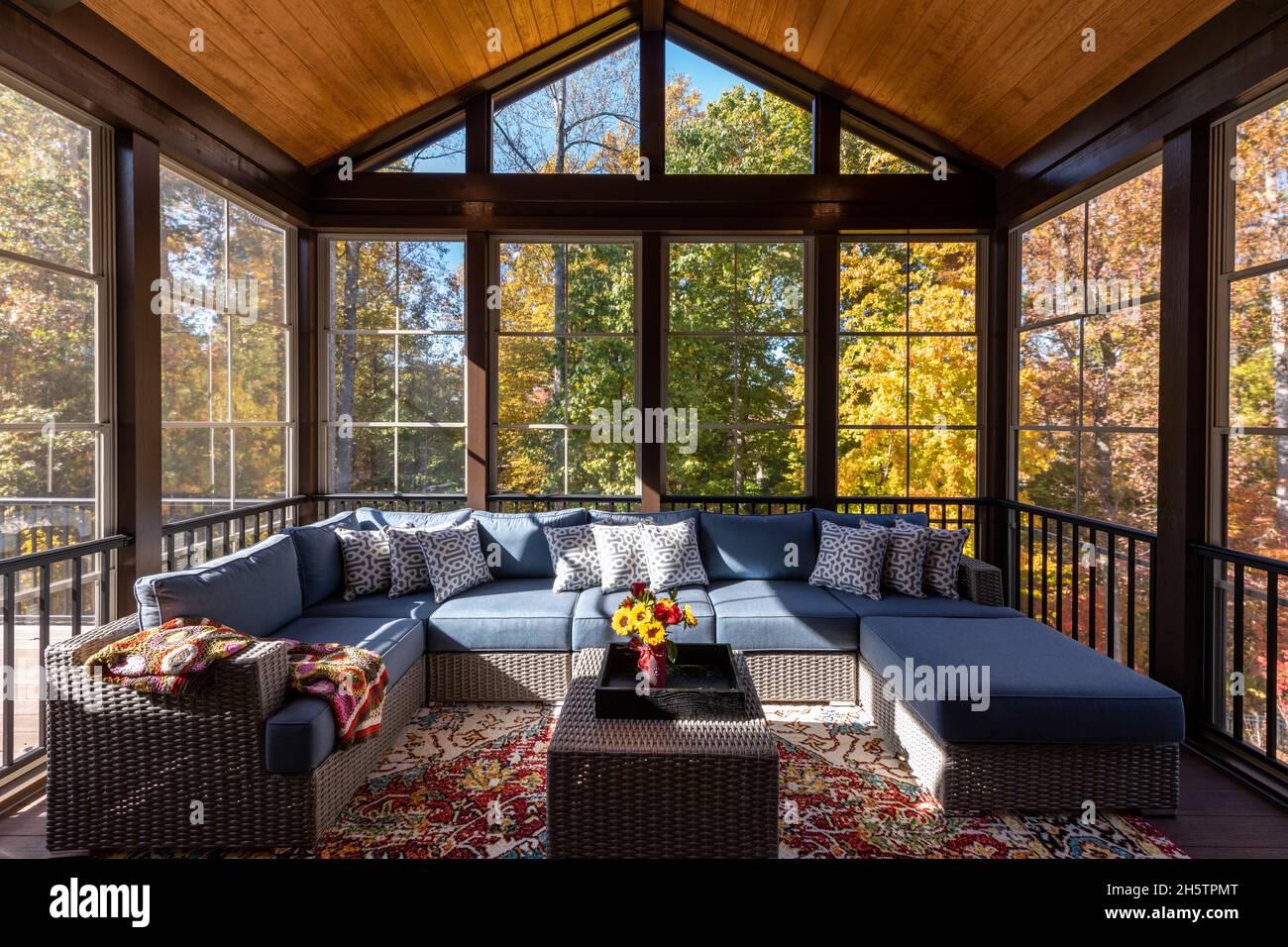 Nouvelle véranda moderne avec moustiquaire et mobilier de jardin, bois  d'été en arrière-plan Photo Stock - Alamy