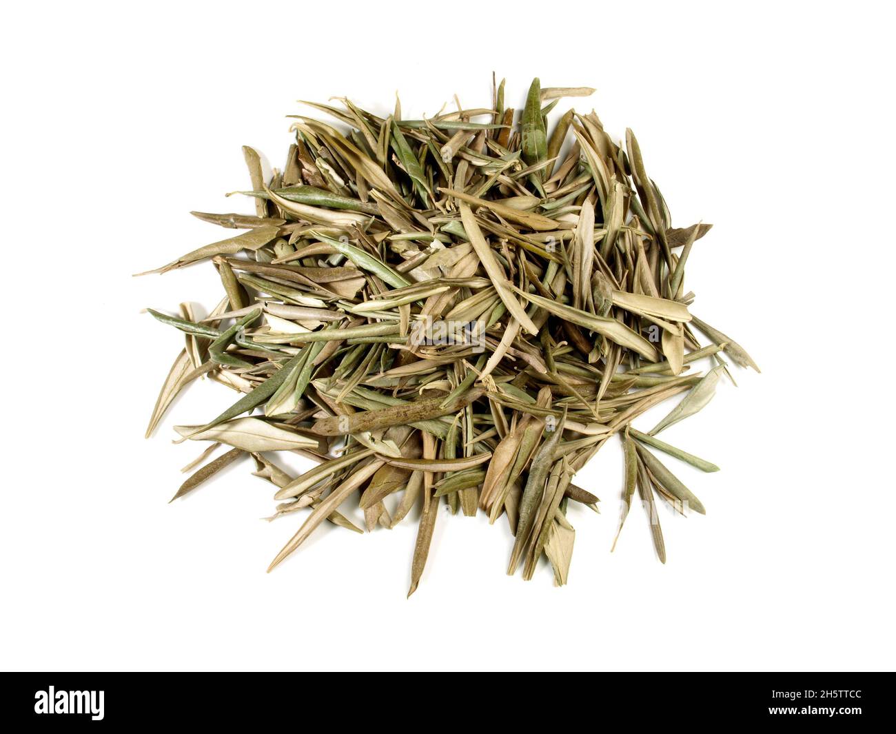 Feuilles d'olive séchées isolées sur fond blanc Banque D'Images