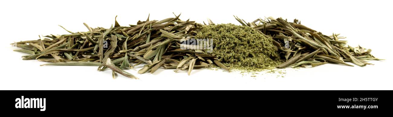 Feuilles d'olive séchées avec poudre isolée sur fond blanc - Panorama Banque D'Images