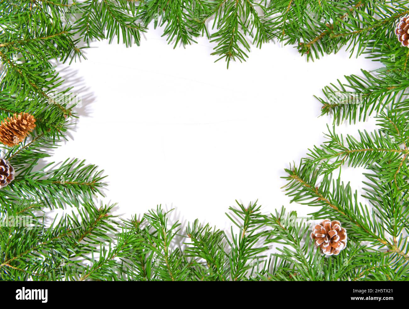 Livre blanc sur les branches de sapin de Noël, avec des branches de sapin isolées sur fond blanc Banque D'Images