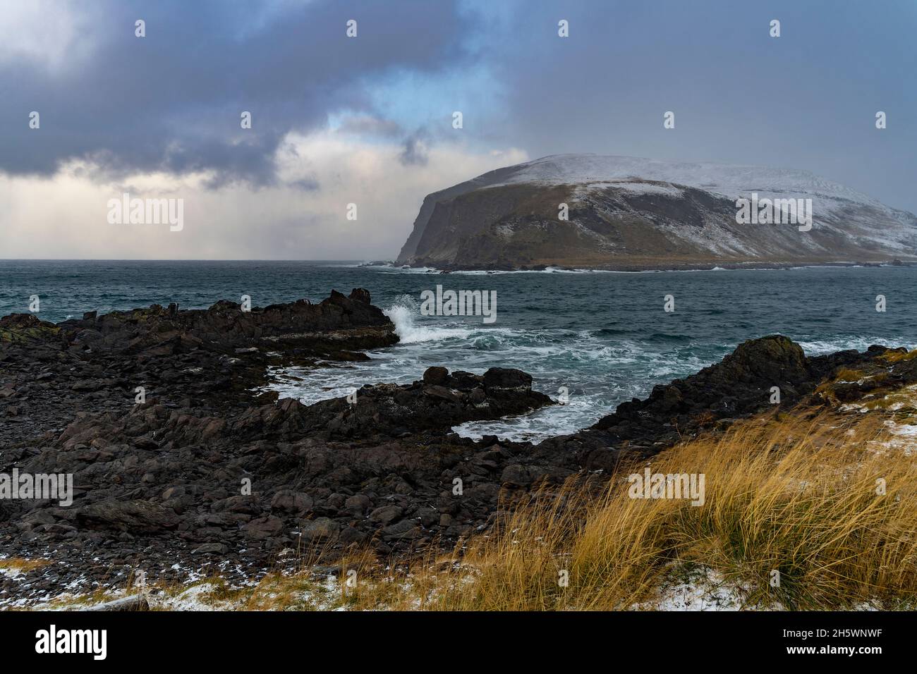 Kamøyvær, in der Bucht von. Felsiger Strand mit geeben Graswiesen.Wings- und Wüber das Land.Insel, Meer Banque D'Images