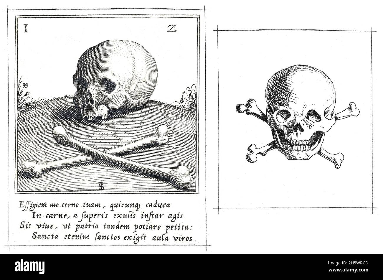 Deux illustrations hisoriques représentant un crâne et des os croisés.À gauche : représentation de Vanitas avec un crâne et des crossones sur une colline.1560 - 1620.Venise.A droite : crâne avec arêtes croisées, Anthonie van den Bos, 1778 - 1838.Un composite optimisé numériquement de 2 images historiques.Une vanitas est une œuvre d'art symbolique montrant la transition de la vie, la futilité du plaisir et la certitude de la mort, souvent des symboles de richesse et des symboles d'éphéméralité et de mort. Banque D'Images