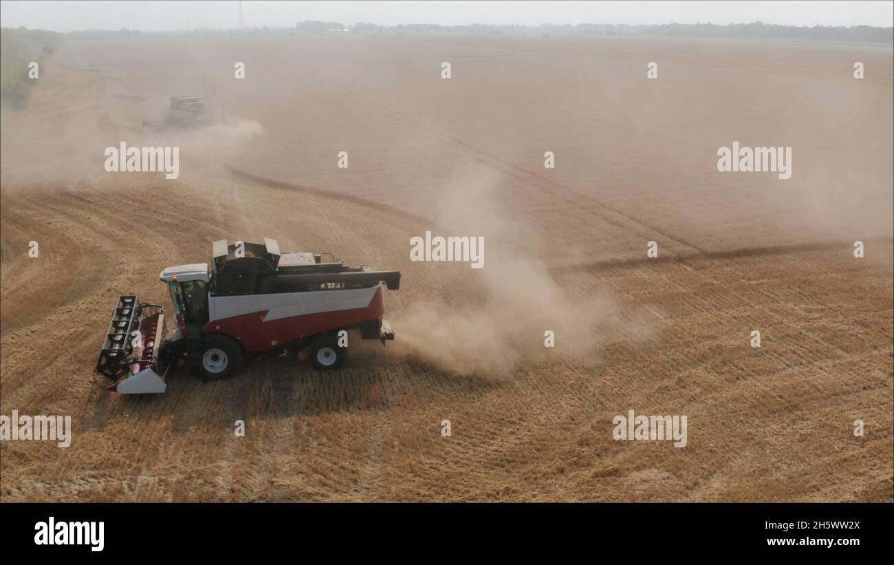 Combine le blé récolté dans les champs.Une moissonneuse-batteuse agricole récolte du grain ou du blé dans un champ.Une nouvelle moissonneuse-batteuse dans un champ. Banque D'Images