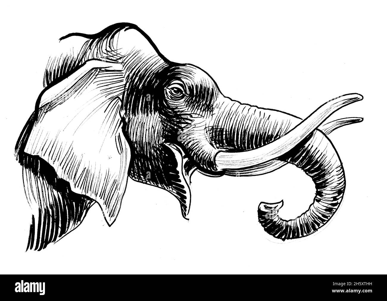 Tete D Elephant D Afrique Dessin Noir Et Blanc Photo Stock Alamy Tete D Elephant D Afrique Dessin Noir Et Blanc Photo Stock Alamy