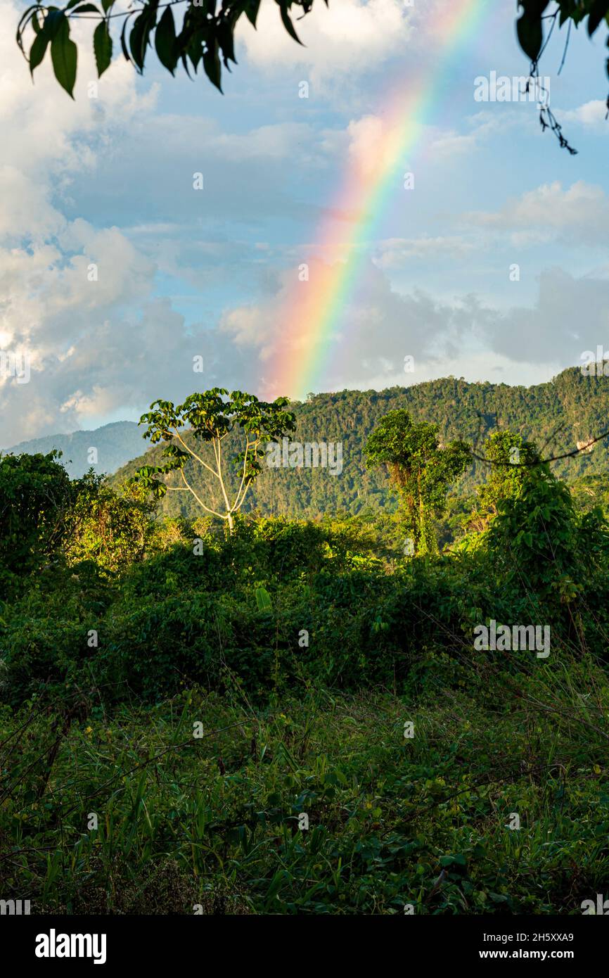 nuages de tempête et arc-en-ciel dans la jungle péruvienne Banque D'Images