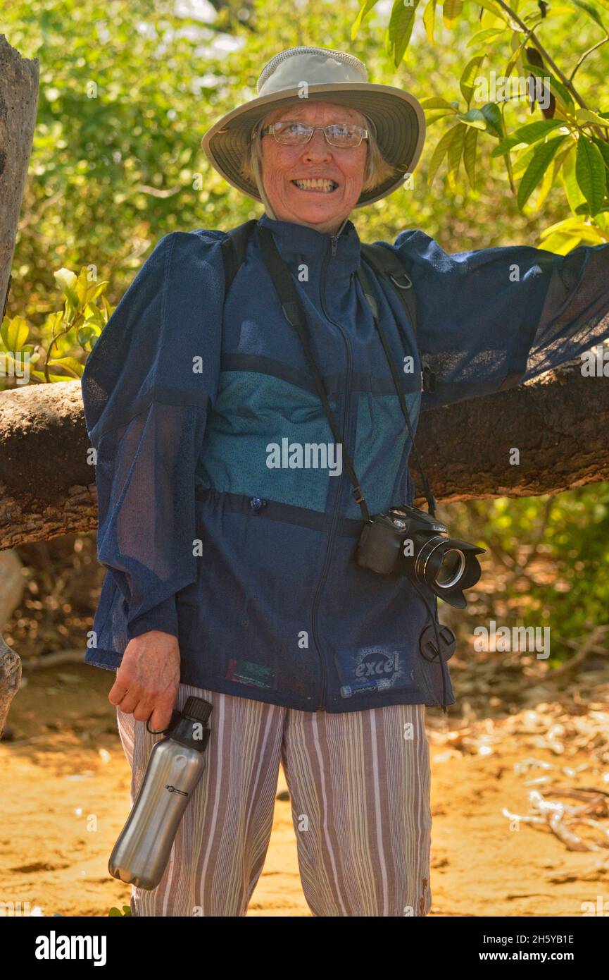 À l'ombre d'un arbre de palo santo, parc national des îles Galapagos, île Floreana, Équateur Banque D'Images