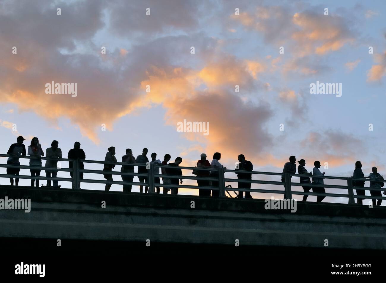 Spectateurs sur le pont Ann W Richards Congress Ave, observant les chauves-souris en partant pour leur incursion nocturne, Austin, Texas, États-Unis Banque D'Images