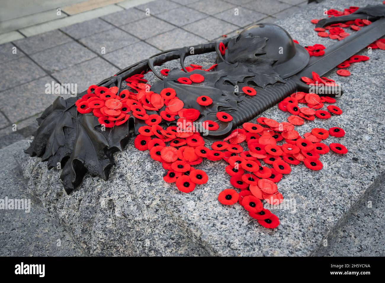 Des coquelicots placés sur la tombe du soldat inconnu après la cérémonie du jour du souvenir à Ottawa, Canada Banque D'Images