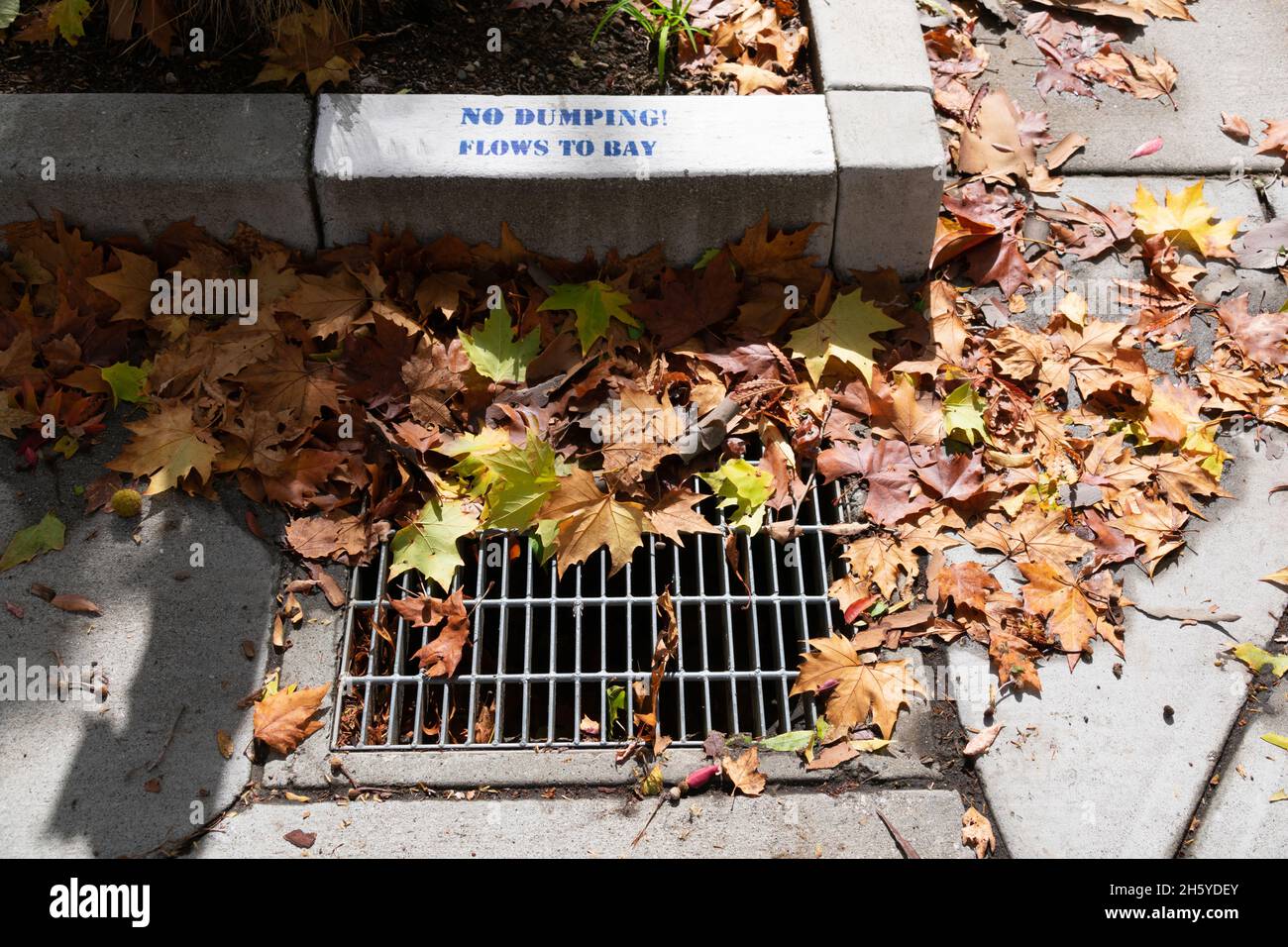 Panneau d'avertissement d'absence de déversement vers la baie près du drain de tempête de grille. Banque D'Images