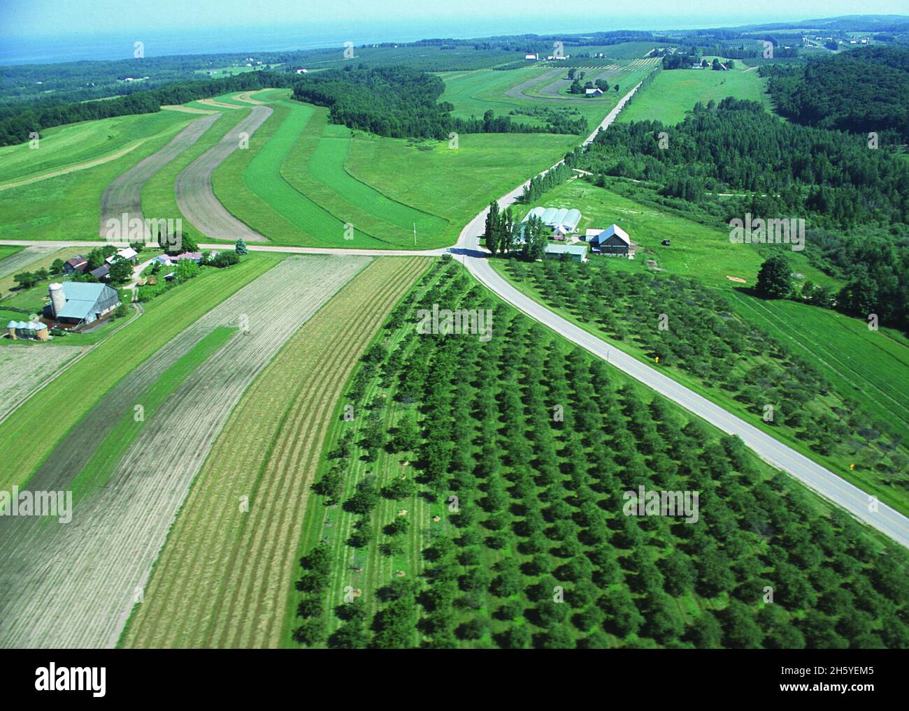 Vue aérienne sur les vergers et les vignobles.Comté de Grand traverse, Michigan, Californie2011 ou antérieur Banque D'Images