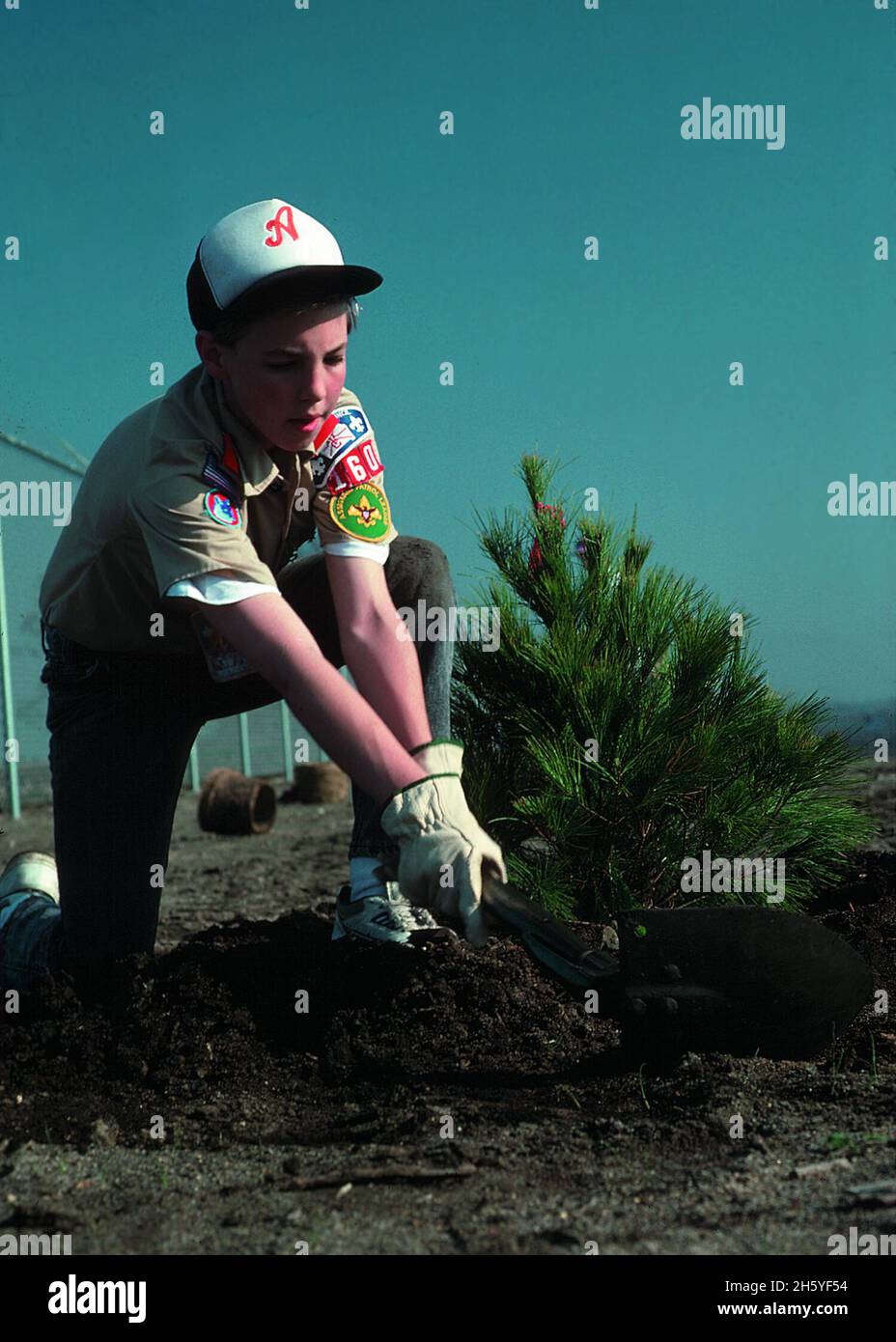 Garçon Scout plantant un arbre dans Story County, Iowa ca.2011 ou antérieur Banque D'Images