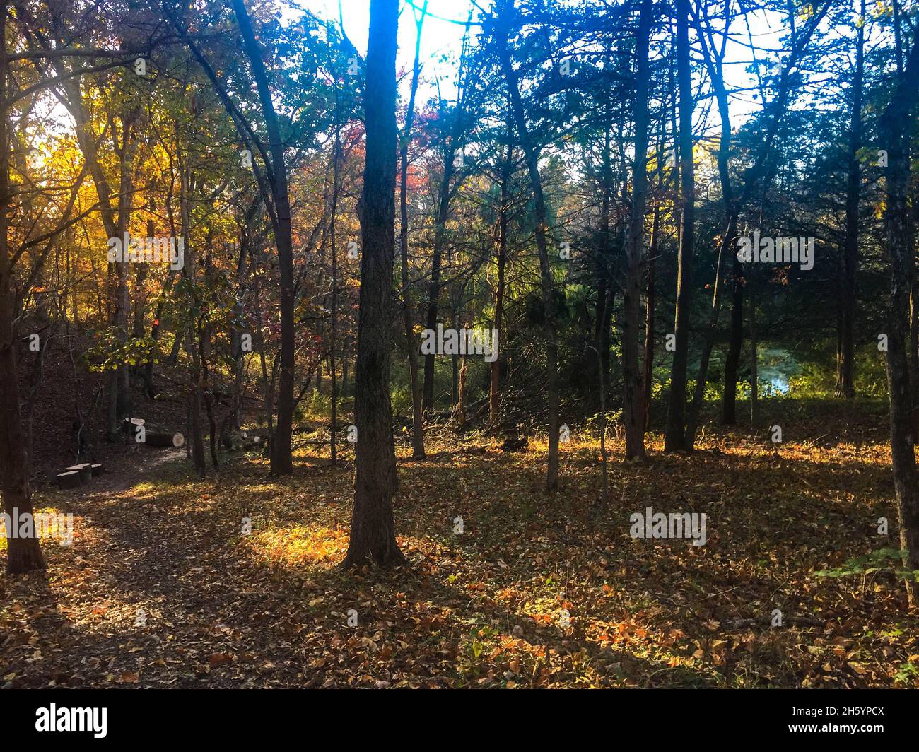 Parc historique national de Cedar Creek et Belle Grove en Virginie Banque D'Images