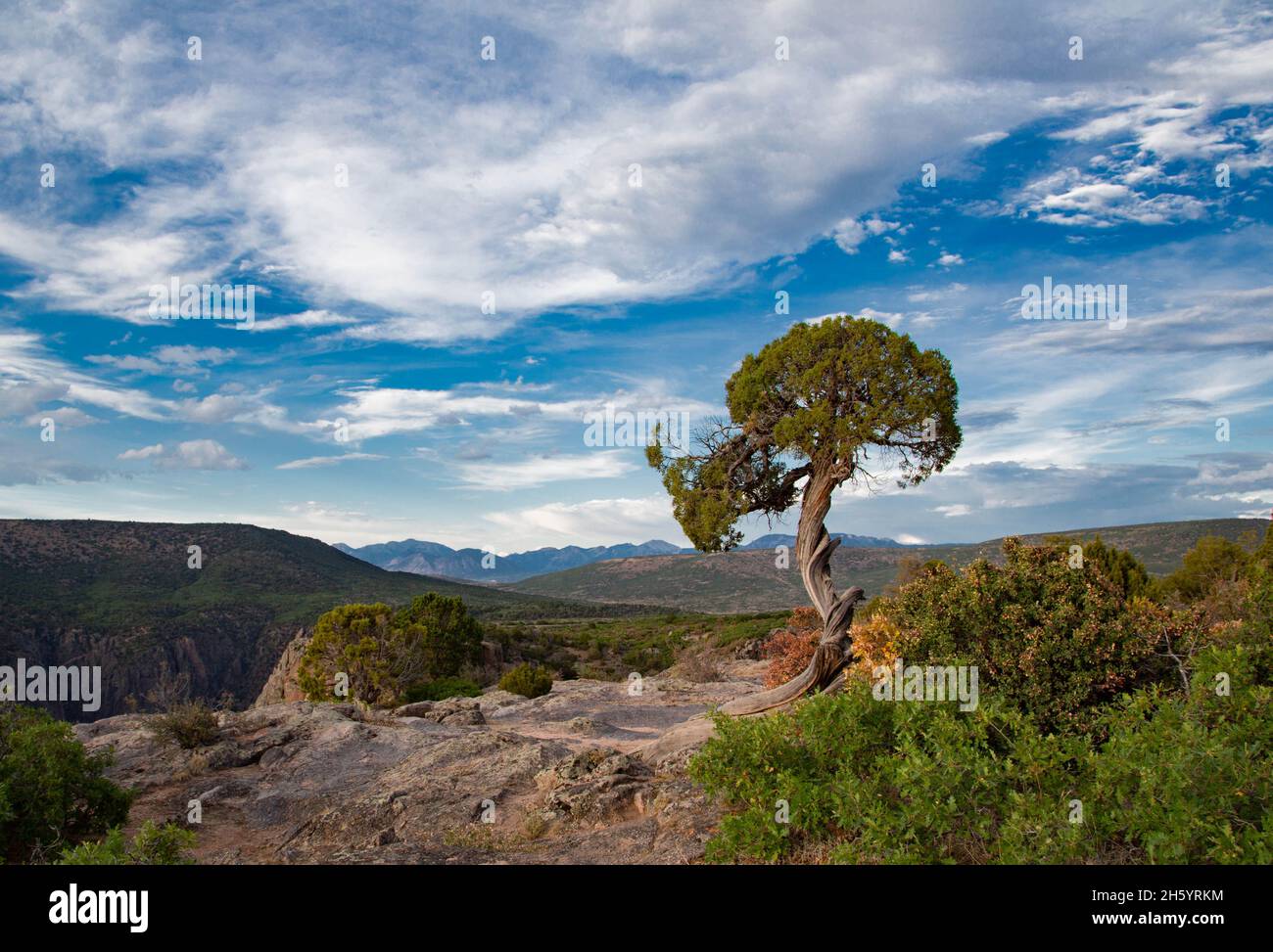 Parc National Black Canyon of the Gunnison Banque D'Images