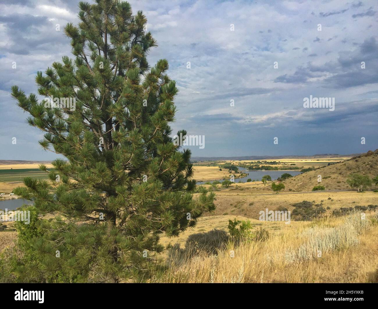 Terrain de jeux national de Bighorn Canyon, Montana et Wyoming Banque D'Images