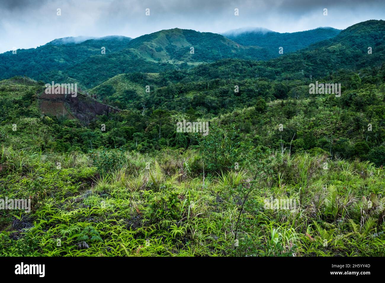 Juillet 2017.En regardant vers la zone protégée du cluster 1 du CADT, anciennement connue sous le nom de réserve de Kalahan.Malico, Nueva Vizcaya, Philippines. Banque D'Images