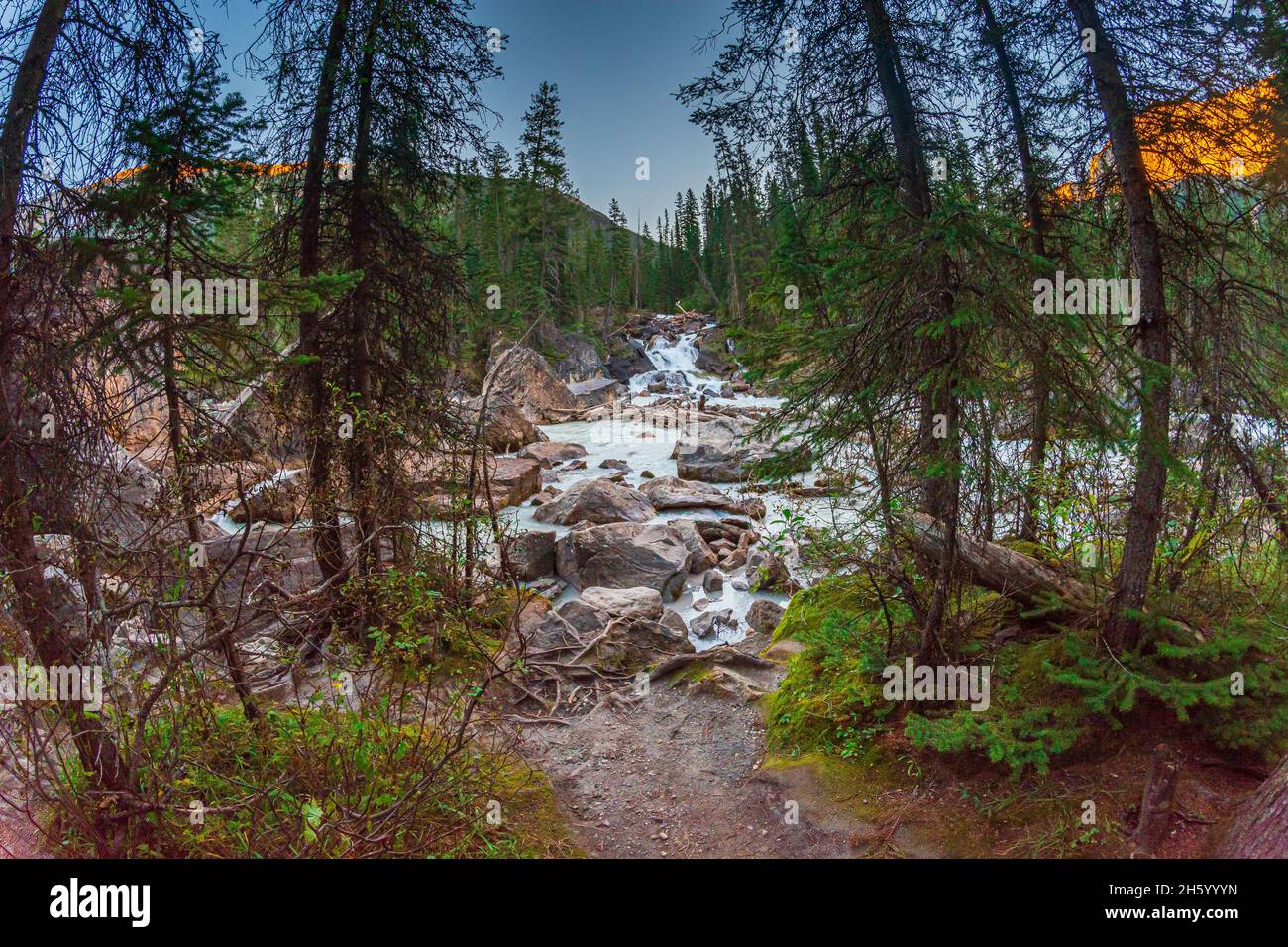 Réunion du parc national des eaux Yoho Colombie-Britannique Canada Banque D'Images