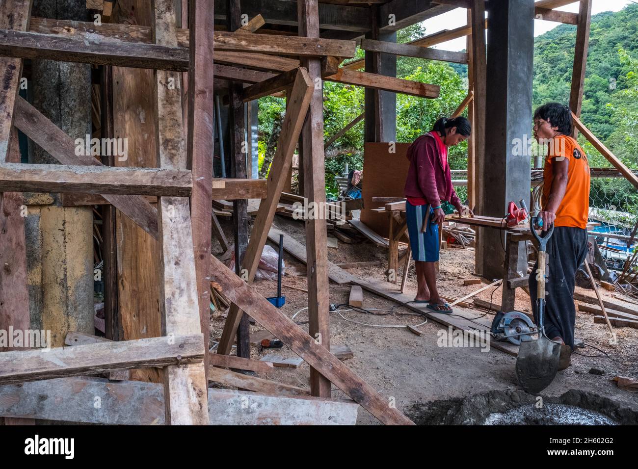 Juillet 2017.Les locaux sont autorisés à récolter du bois de la forêt pour une utilisation de subsistance comme la construction de maisons.Malico, Nueva Vizcaya, Philippines. Banque D'Images