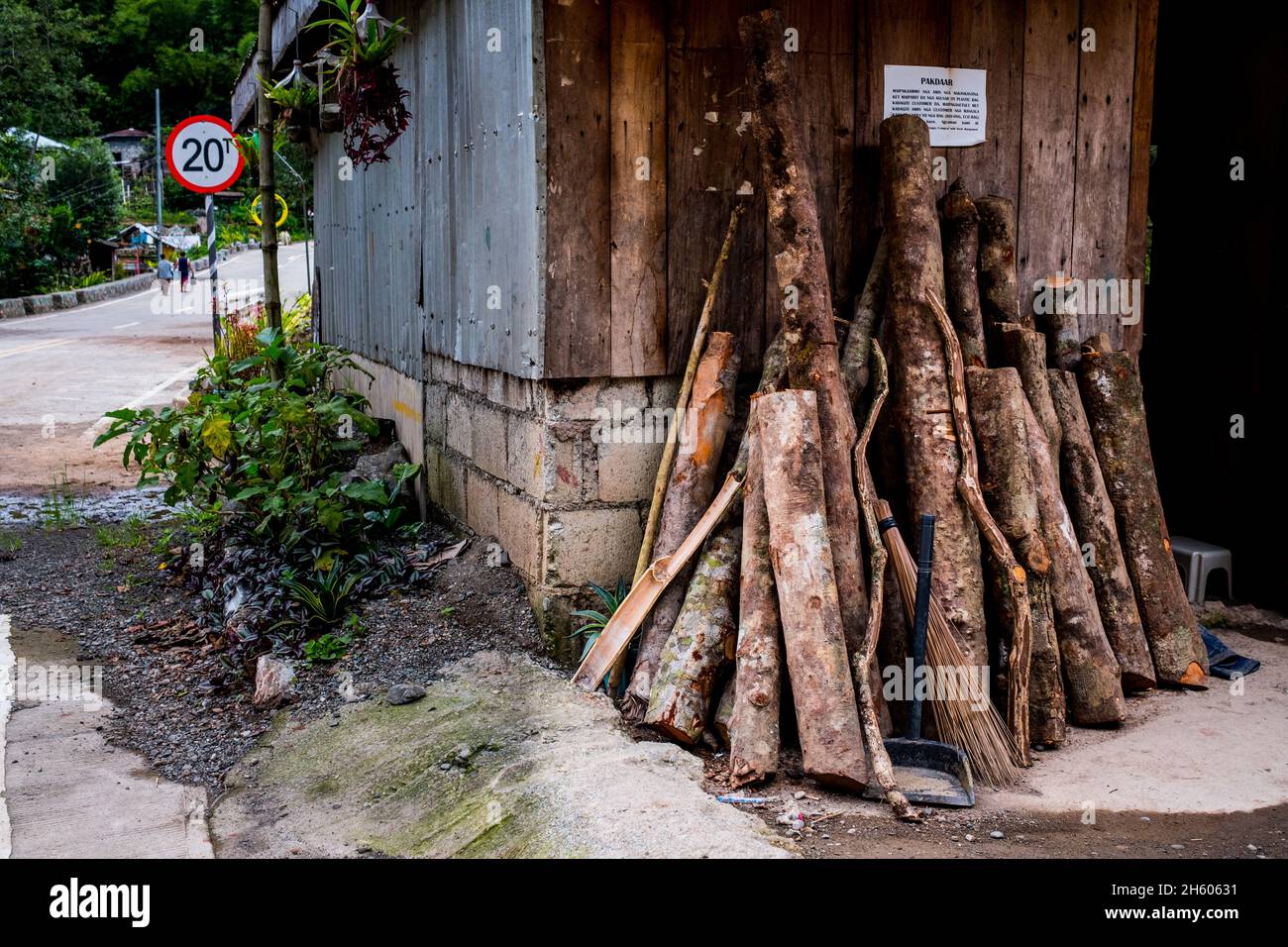 Juillet 2017.Grumes pour la construction de treillis pour la plantation de sayote, empilées à l'extérieur d'une résidence à Imugan.Sayote, connu localement sous le nom de « Green Gold », est une culture de plus en plus populaire qui remplace des cultures plus traditionnelles et moins lucratives comme le camote (un potatoe sucré).Sayote est plantée sur des coteaux dégagés sous des treillis à fils bas.Non seulement la méthode exige le défrichement de la forêt, mais elle peut également conduire à des glissements de terrain dévastateurs en période de fortes pluies ou de tremblements de terre, qui sont tous deux communs dans la région.Imugan, Nueva Vizcaya, Philippines. Banque D'Images