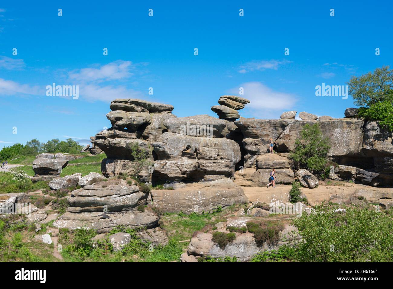 Brimham Rocks, vue en été des personnes explorant des formations rocheuses fortement érodées à Brimham Rocks à Nidfoot, dans le North Yorkshire, en Angleterre Banque D'Images