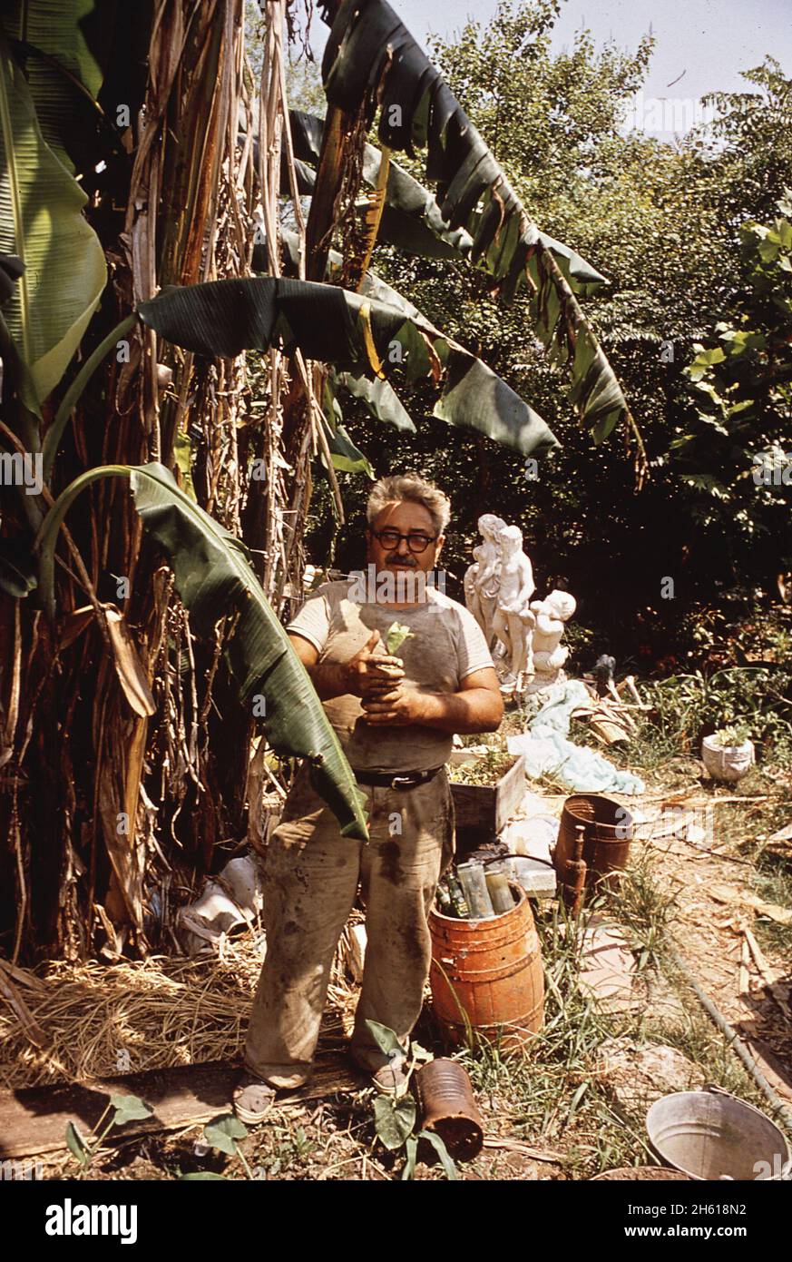 Homme avec des lunettes marchant dans les terres humides de Louisiane, au sud du lac Borgne CA.Mai 1972 Banque D'Images