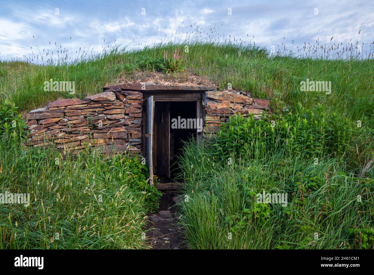 Cave à racines, Elliston, Terre-Neuve-et-Labrador, T.-N.-L., Canada Banque D'Images