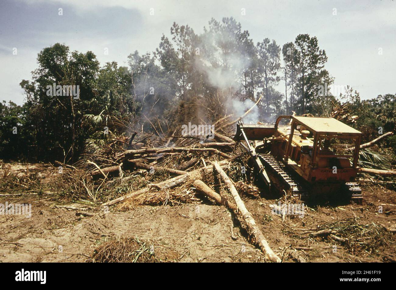 Un bulldozer s'engouge dans une partie d'une forêt pour un terrain de golf sur le développement de l'île Seabrook sur l'île de John's.Mai 1973 Banque D'Images