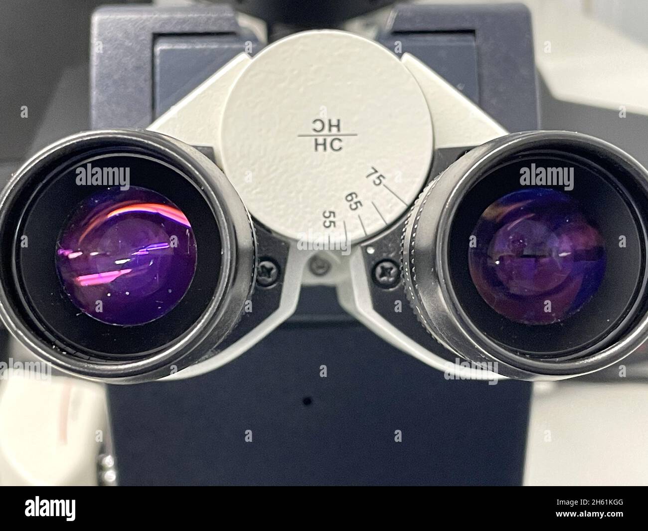 Oculaire de microscope Banque D'Images