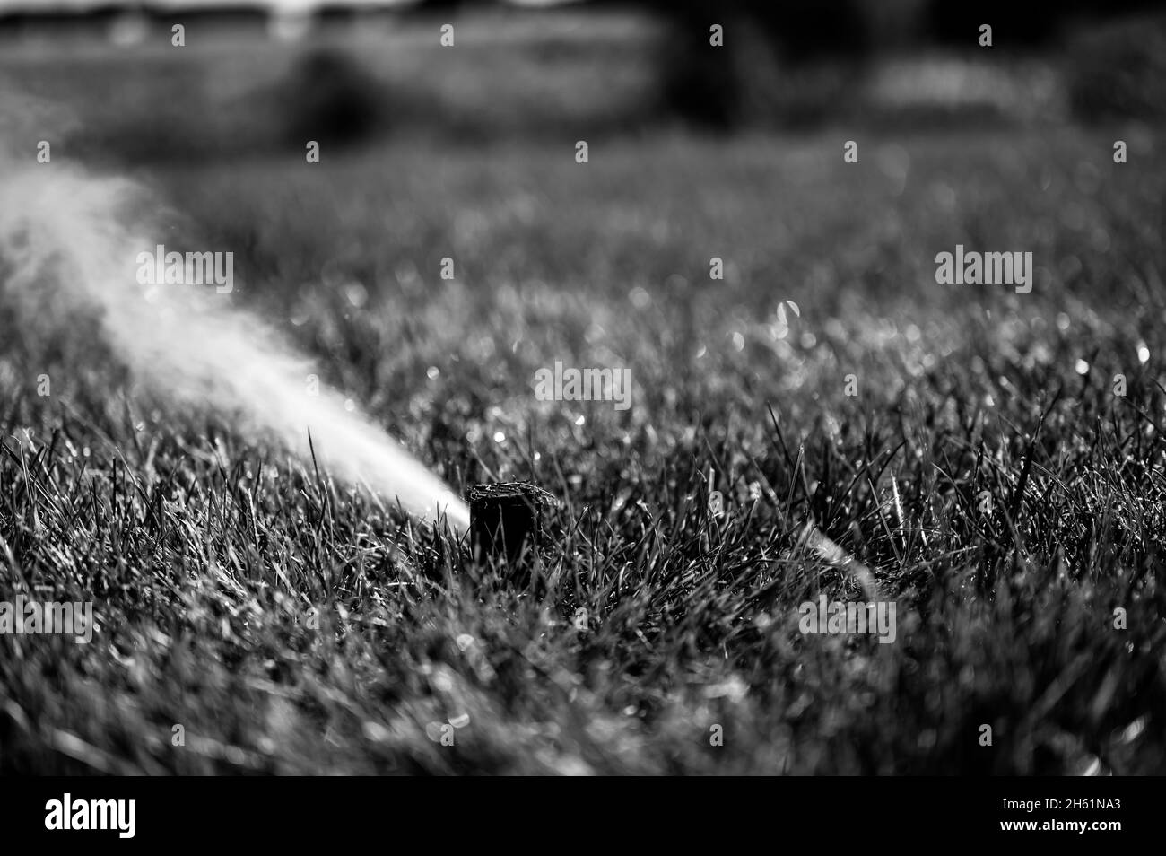 préparation pour l'hiver d'un système de gicleurs d'irrigation en soufflant de l'air sous pression pour éliminer l'eau Banque D'Images