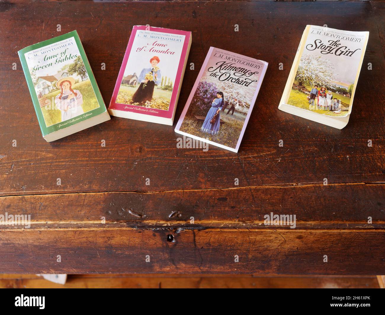 anne of green gables',auteure lucy maude montgomery,librairie au bout de la piste hantée de bois,canada,île-du-prince-édouard Banque D'Images