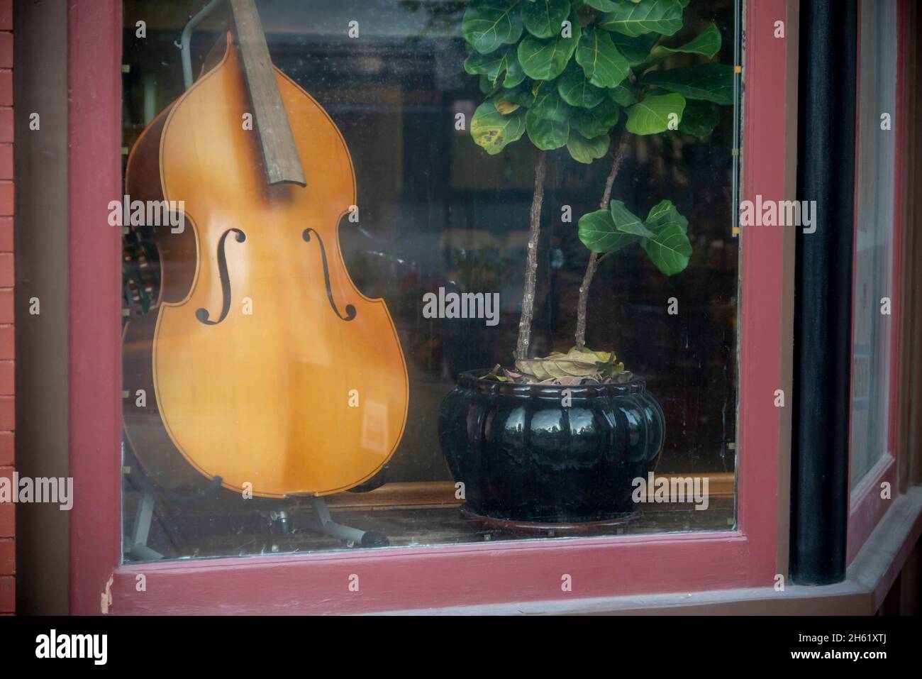 The E-String à Quincy Massachusetts USA Banque D'Images