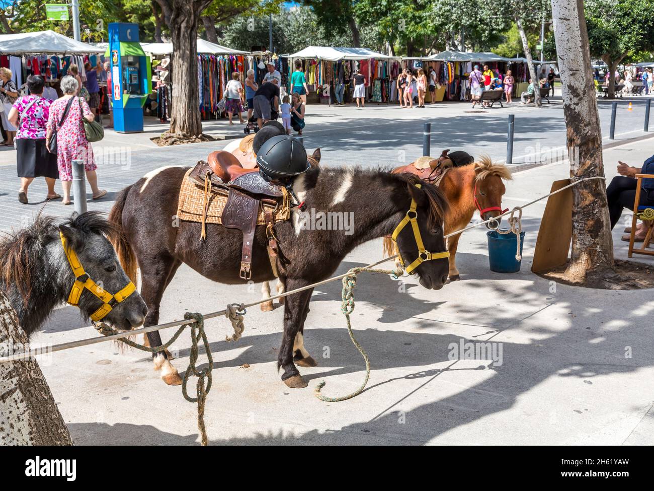 chevaux au marché hebdomadaire dans le centre de mahon,mahon,maó,minorque,iles baléares,espagne,méditerranée,europe Banque D'Images