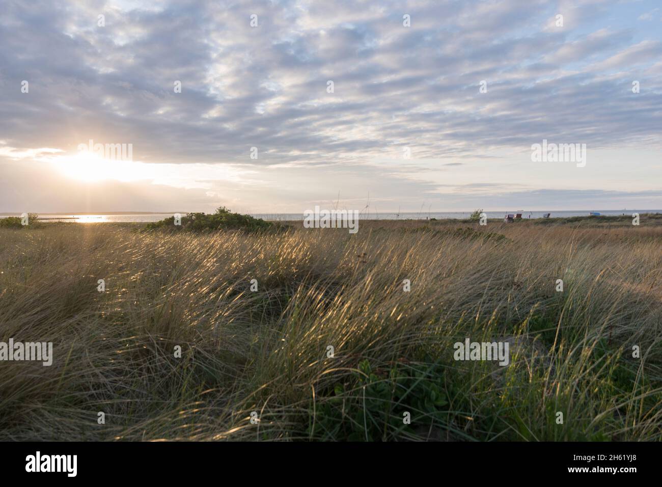 une belle vue sur la mer baltique dans la lumière du soleil sur la plage de stein, allemagne. Banque D'Images