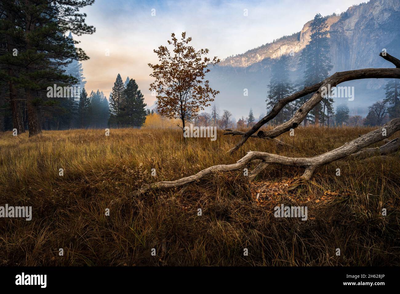 Le parc national de Yosemite est un parc national américain de Californie, entouré au sud-est par la forêt nationale de Sierra. Banque D'Images