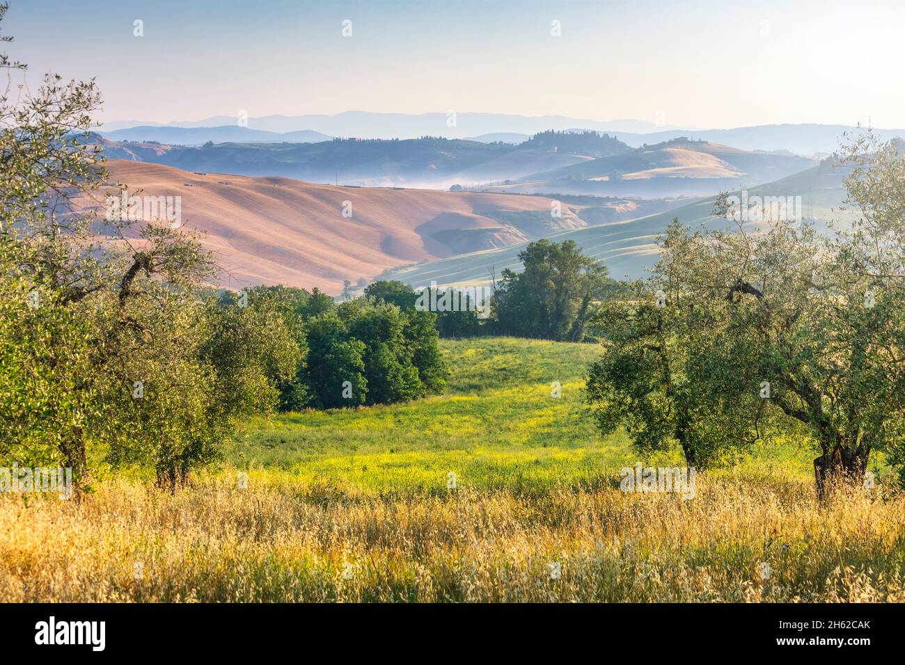 paysage toscan, matin avec brouillard dans les vallées et collines vallonnées de la crète senesi, asciano, province de sienne, toscane, italie Banque D'Images