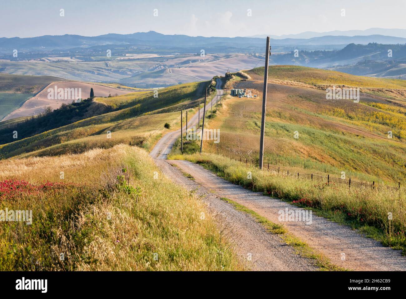 paysage rural toscan, route de campagne dans les collines sienaises, asciano, crete senesi, province de sienne, toscane, italie Banque D'Images