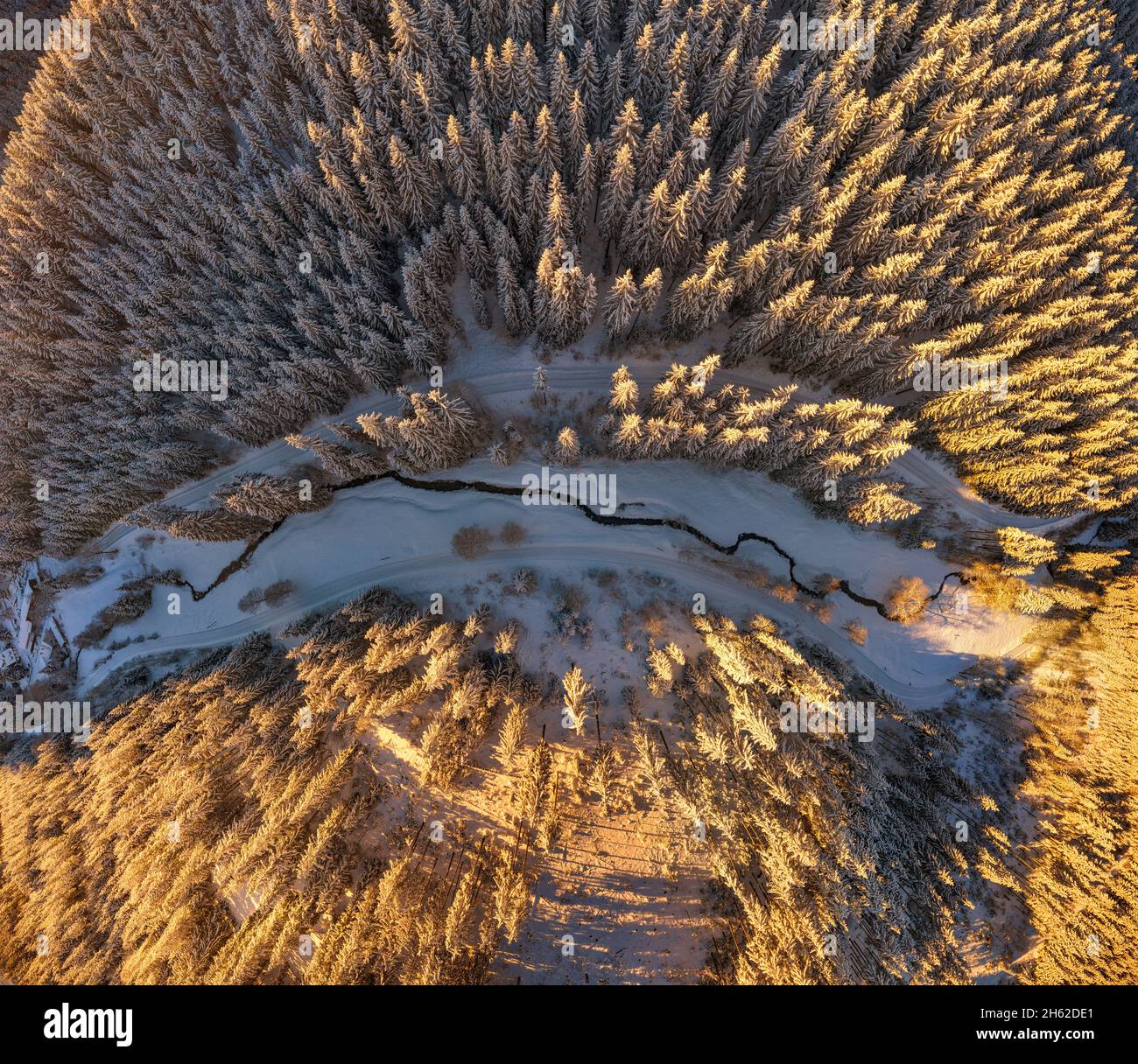 allemagne,thuringe,ilmenau,gehren,forêt,chemins,vallée,ruisseau,neige,environnement de rennsteig,vue de dessus,lumière du matin,vue aérienne Banque D'Images