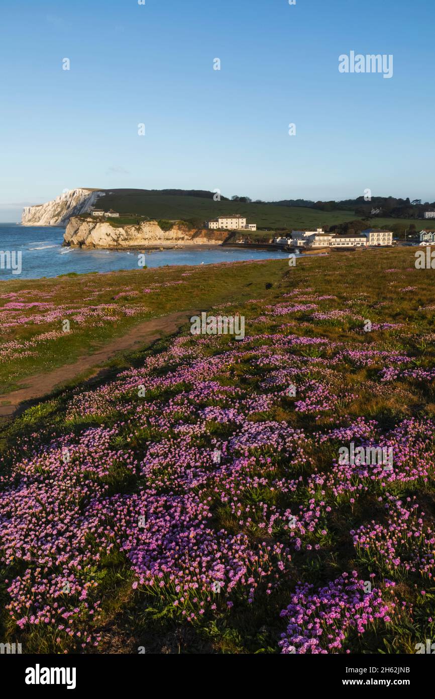 angleterre, île de wight, tennyson en bas, vue sur le sommet de la falaise en direction de la baie d'eau douce Banque D'Images