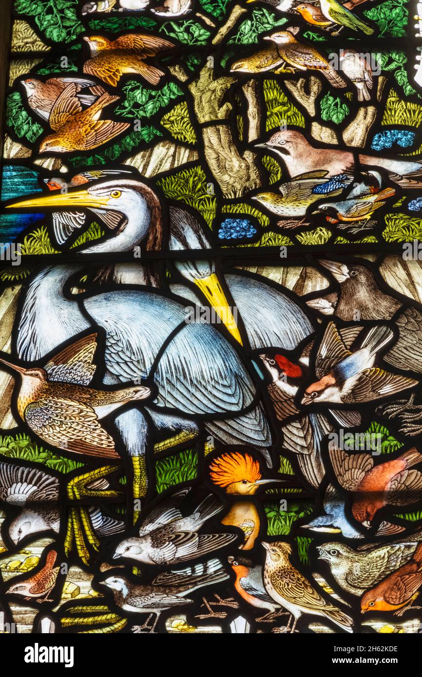 england,hampshire,selborne,st.mary's church,memorial vitraux fenêtre au naturaliste gilbert blanc montrant st.francis d'assise nourrissant les oiseaux Banque D'Images