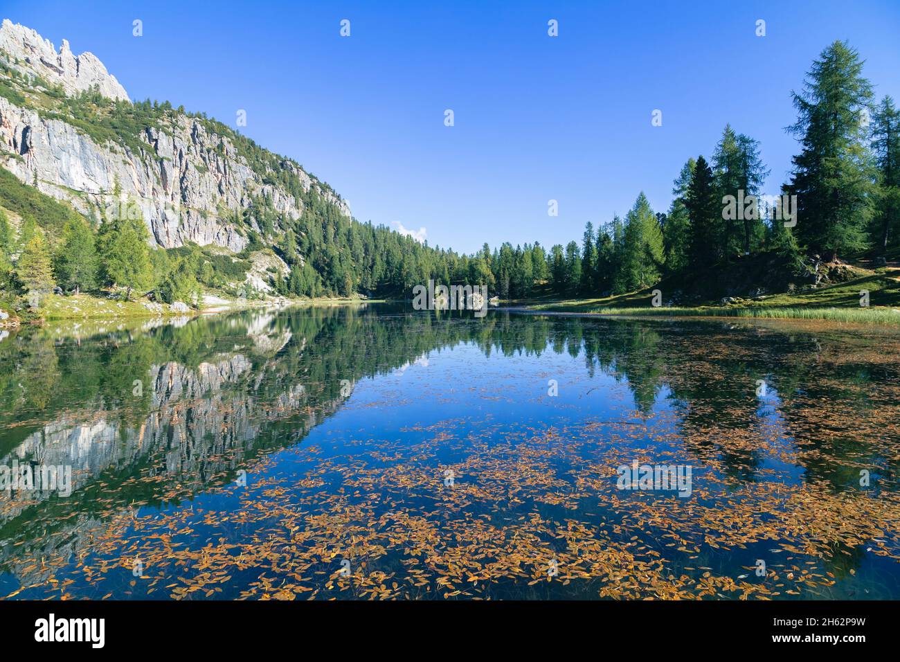 federa lac alpin près de croda da lago, détail des réflexions dans l'eau, cortina d'ampezzo, belluno, veneto, italie Banque D'Images