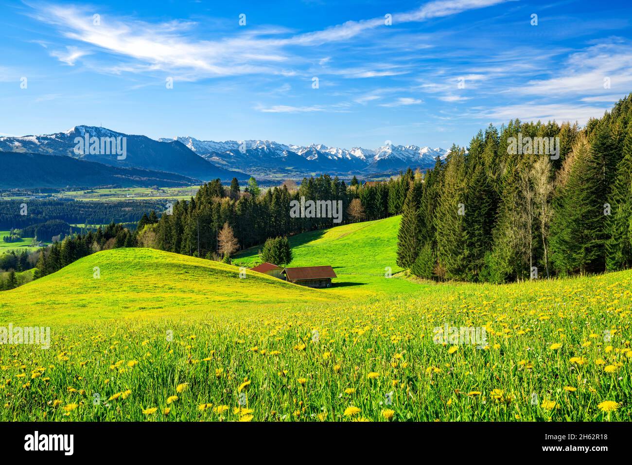 printemps dans l'allgäu. vue sur l'illertal aux alpes de l'allgäu avec les grünten. prairies, forêts et montagnes enneigées sous un ciel bleu. bavière, allemagne, europe Banque D'Images