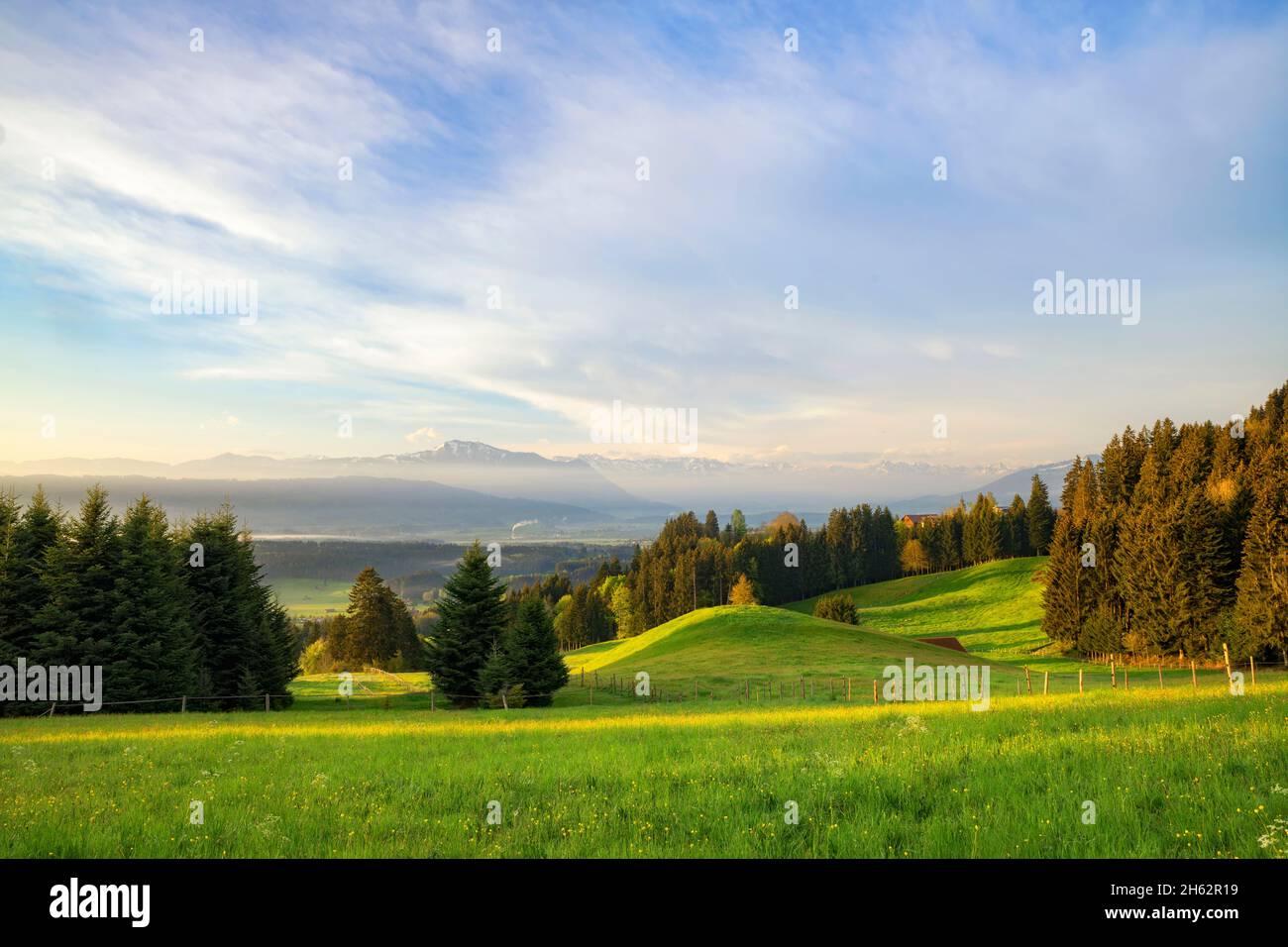 atmosphère matinale dans l'allgäu. vue sur l'illertal aux alpes allgäu avec les grünten. prairies, forêts et montagnes enneigées. bavière, allemagne, europe Banque D'Images